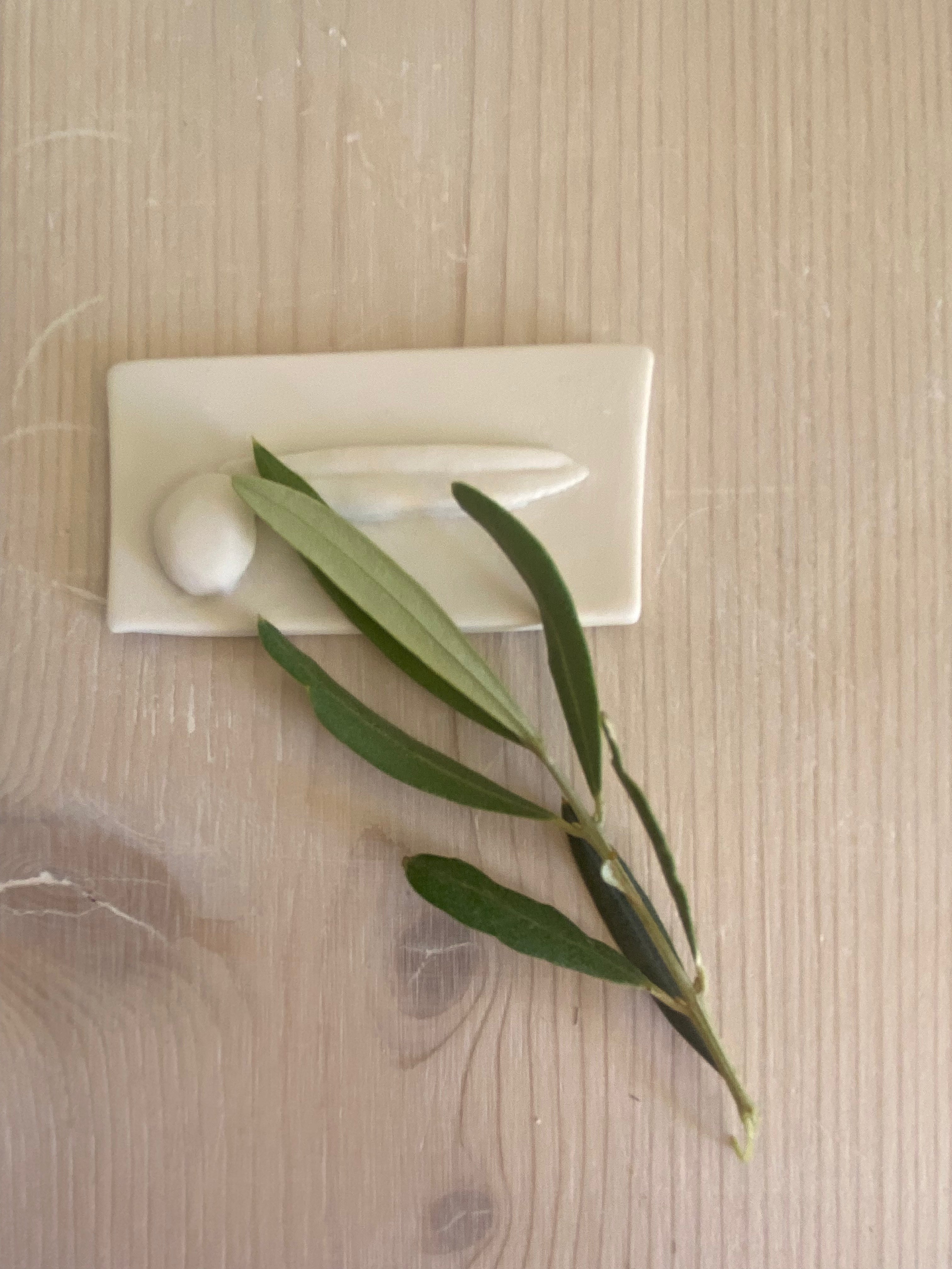 Porte-couteaux olive