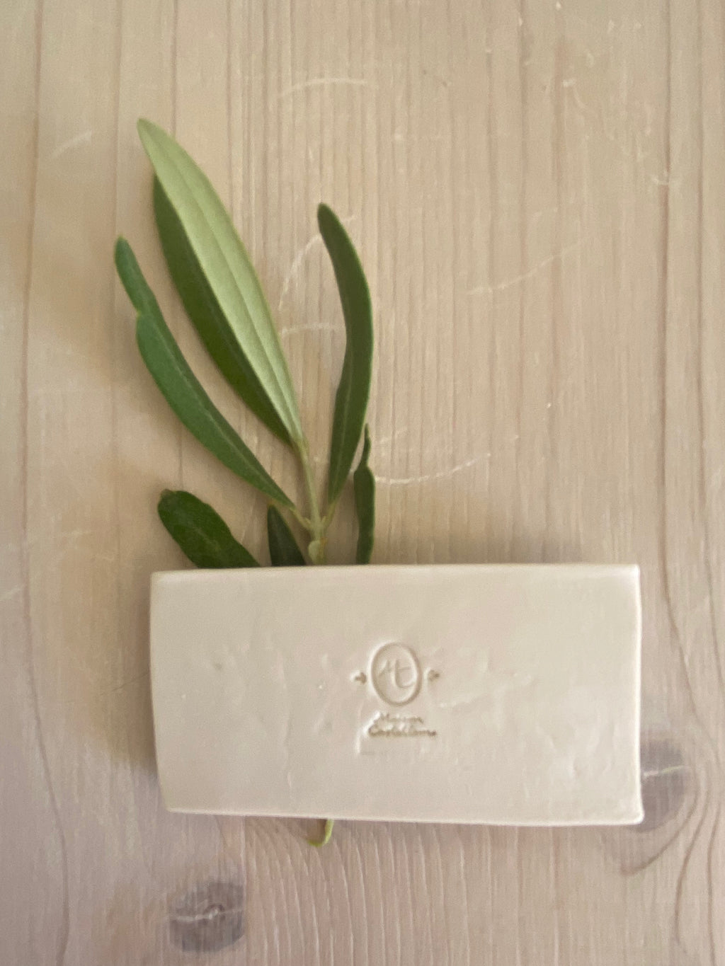 Porte-couteaux olive